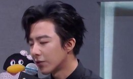 爆料刘宇宁恋情视频,甜蜜视频引发网友热议